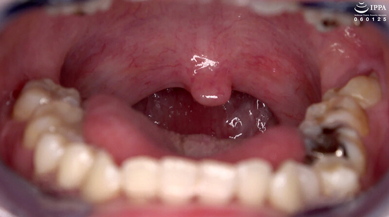 サンプル画像 11