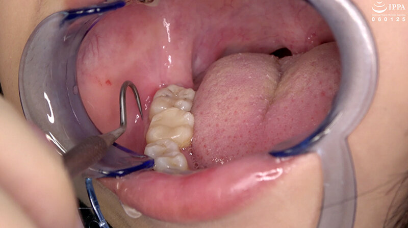 サンプル画像 12