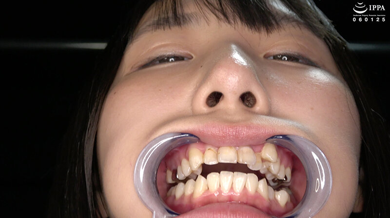 サンプル画像 5