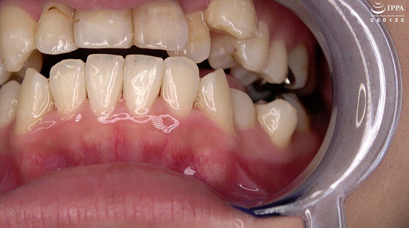 サンプル画像 6