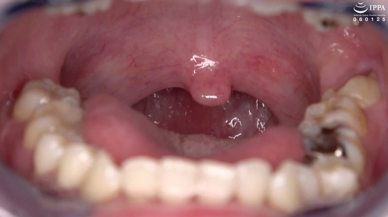 サンプルプレビュー