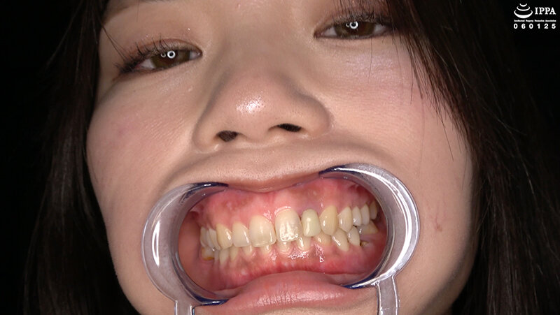 サンプル画像 13