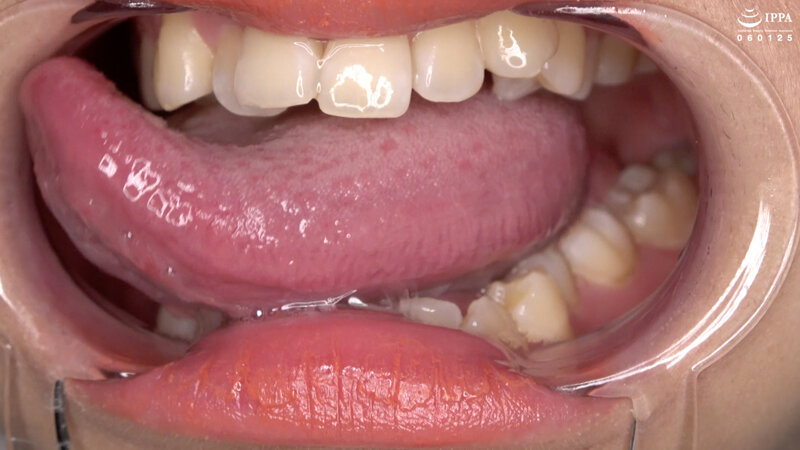 サンプル画像 12