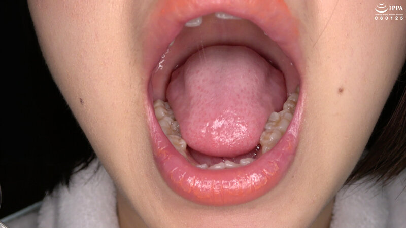 サンプル画像 13