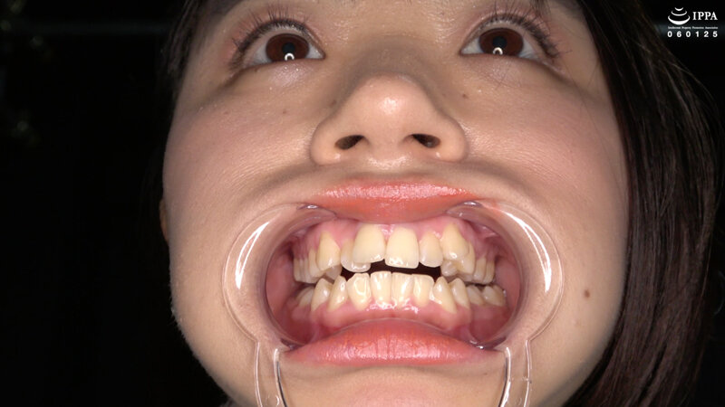 サンプル画像 6