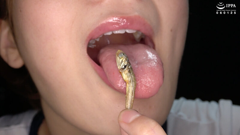 サンプル画像 5