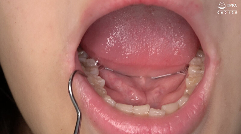 サンプル画像 11