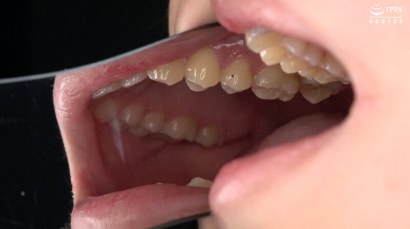 サンプル画像 13