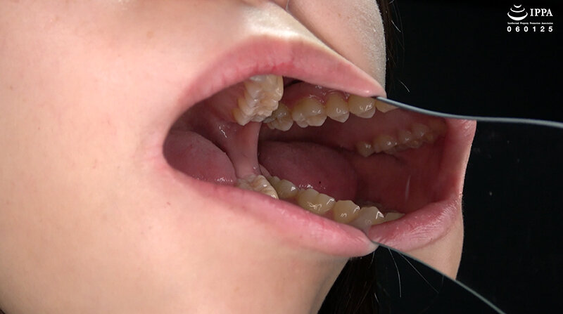 サンプル画像 14