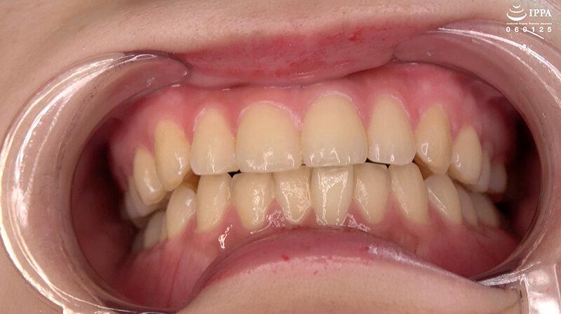 サンプル画像 6