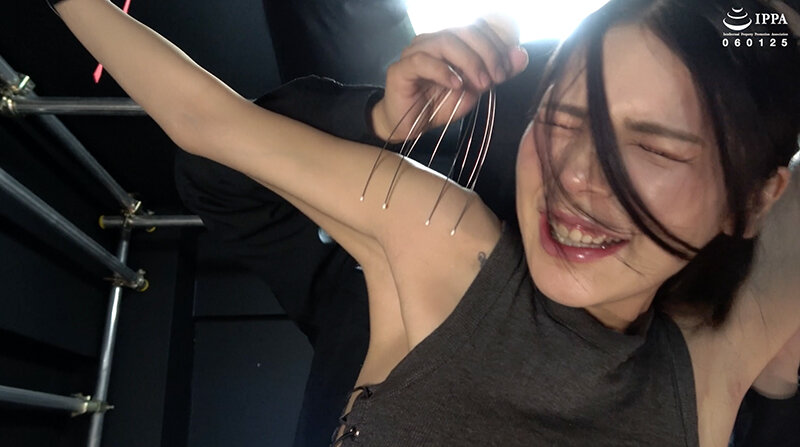 サンプル画像 5