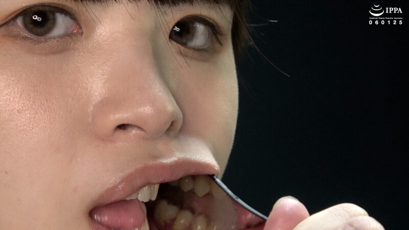 サンプル画像 12