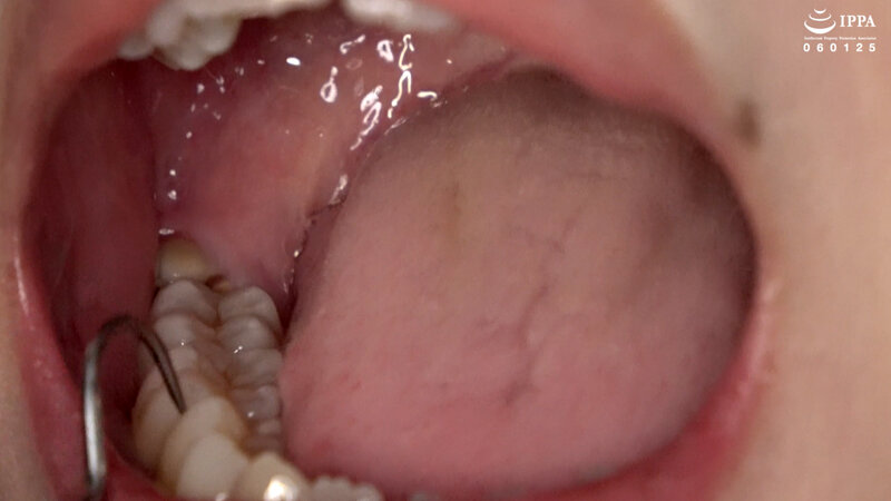 サンプル画像 8