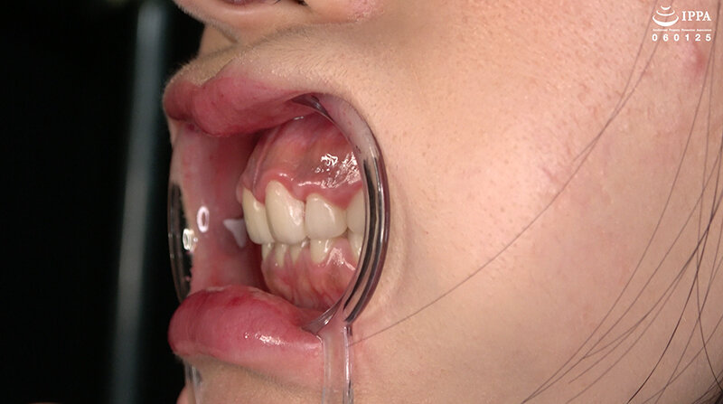 サンプル画像 12