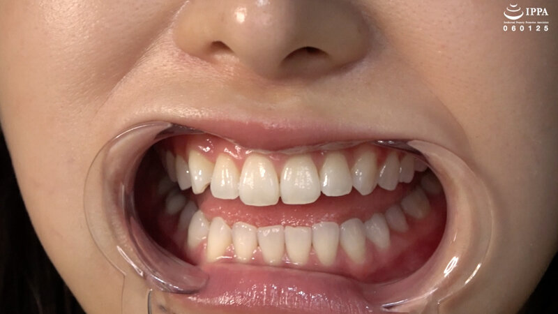 サンプル画像 8