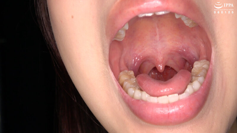 サンプル画像 6