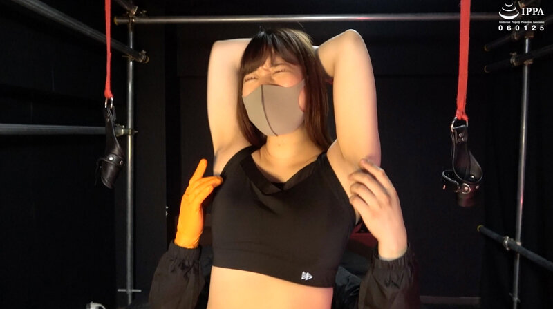 サンプル画像 3