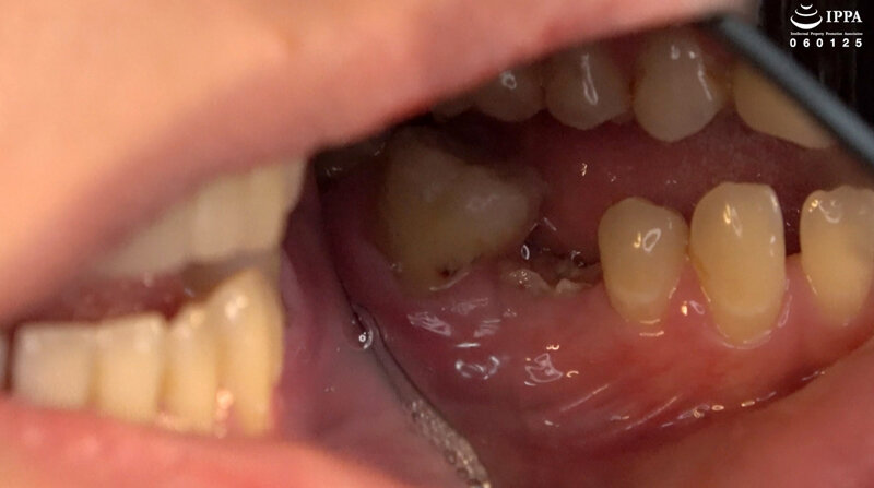 サンプル画像 12