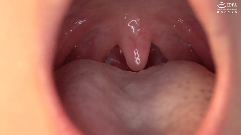 サンプルプレビュー