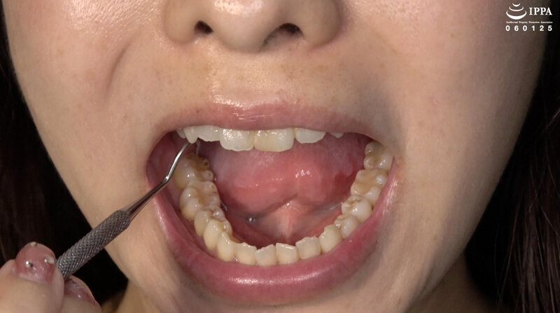 サンプル画像 5