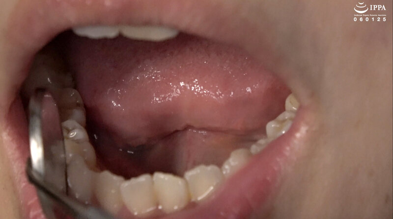 サンプル画像 9