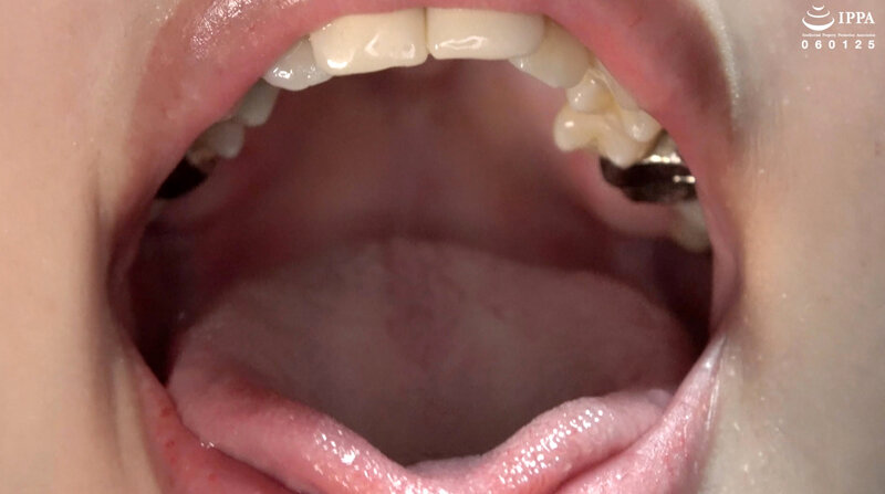 サンプル画像 9