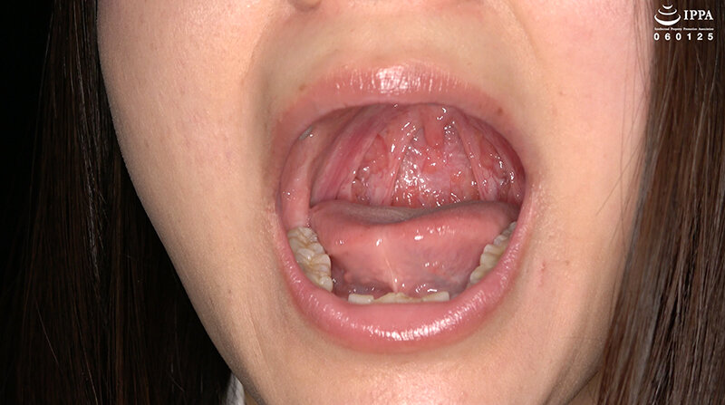 サンプル画像 11