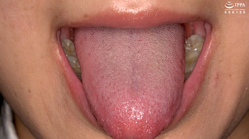 サンプル画像 12