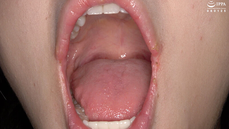 サンプル画像 11