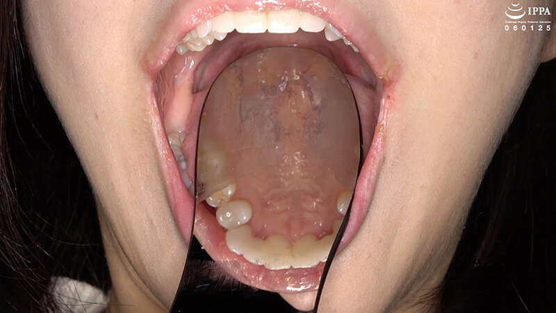 サンプル画像 12