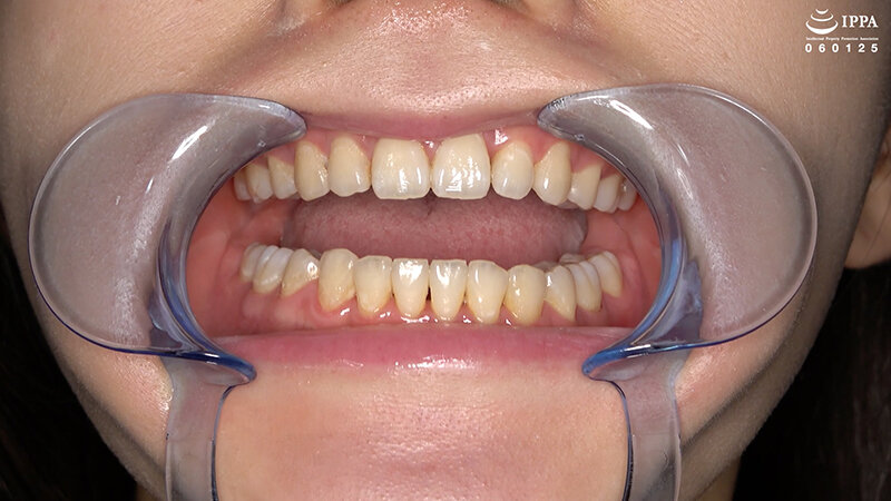 サンプル画像 6