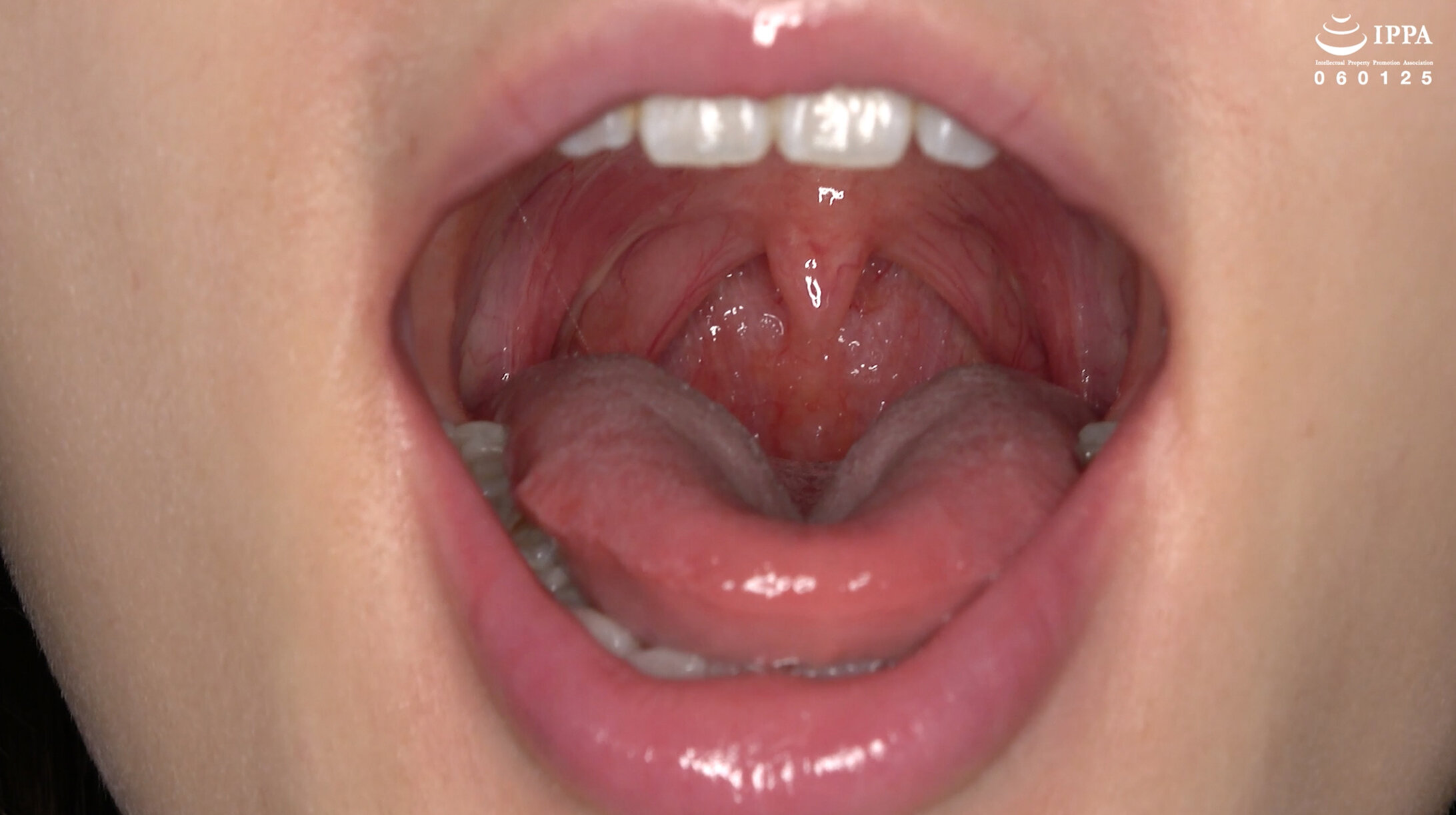 パッケージ画像