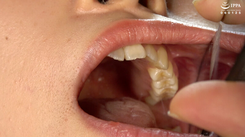 サンプル画像 11