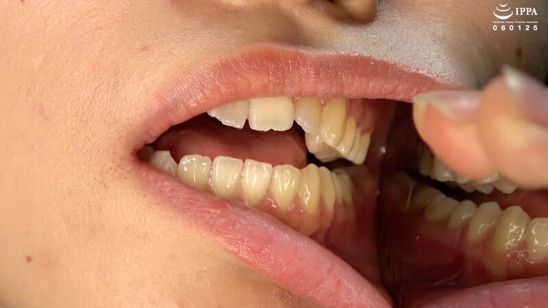 サンプル画像 9