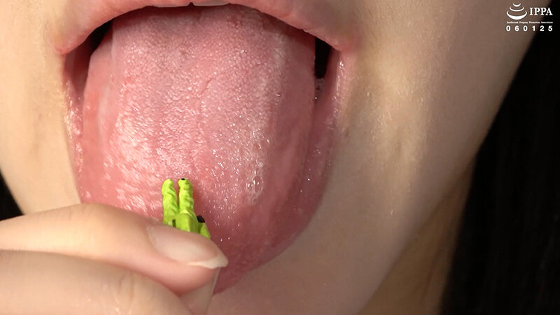 サンプル画像 7