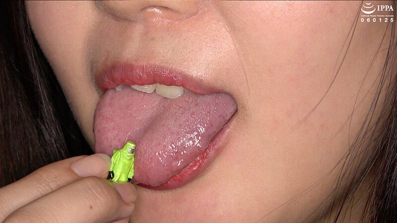 サンプル画像 12