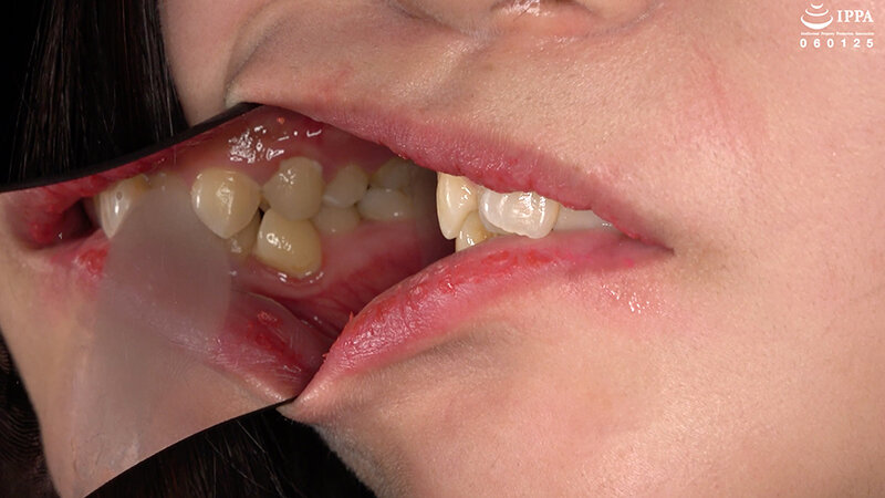 サンプル画像 6