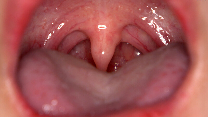 サンプル画像 8