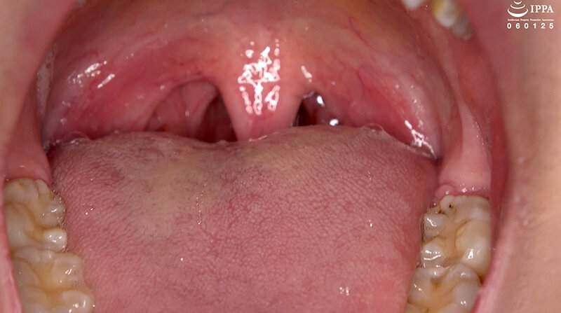 サンプル画像 11