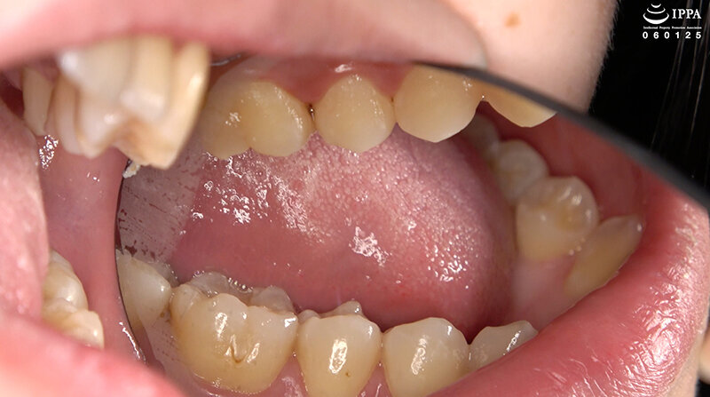 サンプル画像 6