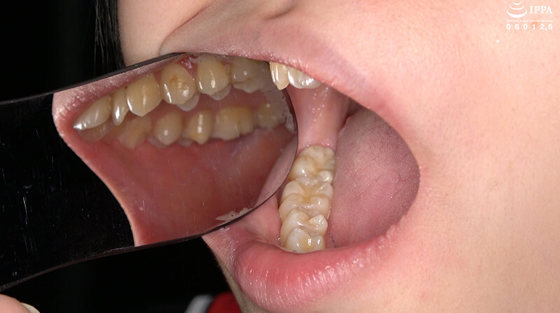 サンプル画像 7