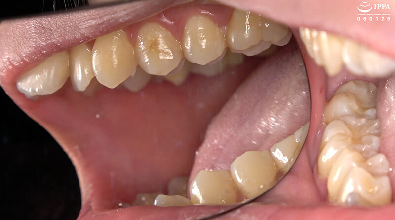 サンプル画像 8