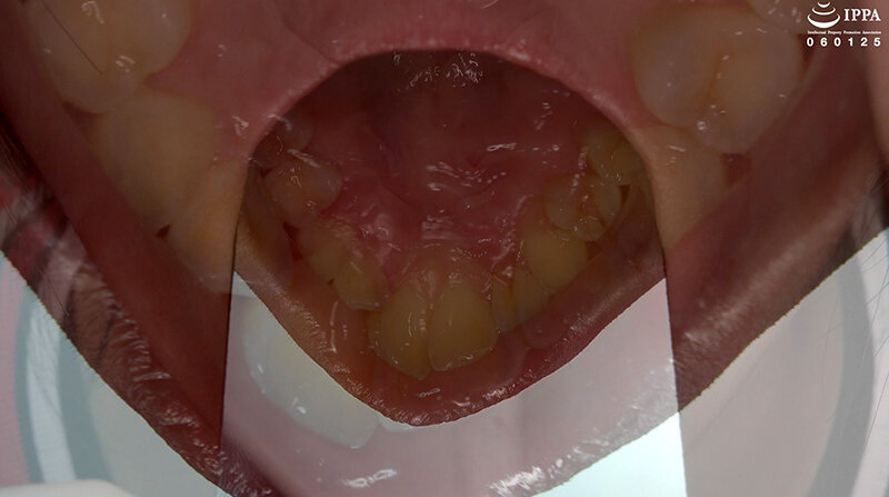 サンプル画像 9