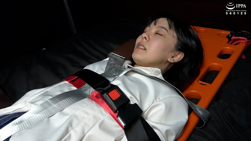 サンプル画像 11