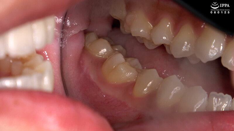 サンプル画像 5