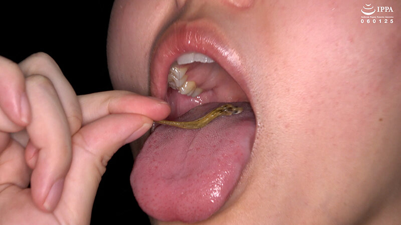 サンプル画像 9