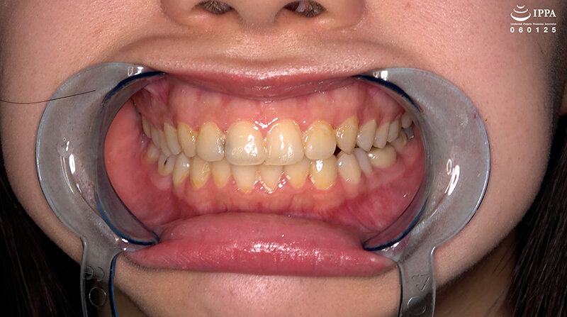 サンプル画像 5