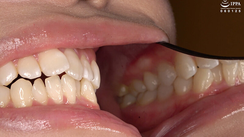 サンプル画像 6