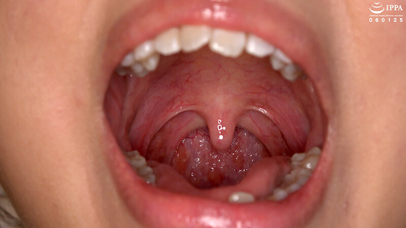 サンプル画像 8