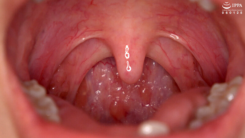サンプル画像 9